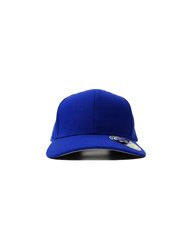 Flexfit Woolblend SnapBack - Youth